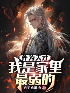 《作为天才，我是家里最弱的》小说章节列表在线试读 王浩平遥公主小说阅读