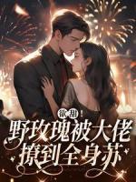 欲甜！野玫瑰被大佬撩到全身苏全本资源 乔泠周瑾樾完整未删减版