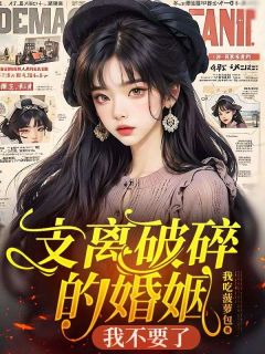 支离破碎的婚姻,我不要了