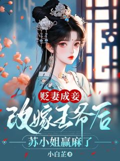 贬妻成妾：改嫁王爷后苏小姐赢麻了小说 贬妻成妾：改嫁王爷后苏小姐赢麻了苏清梦林钊在线阅读
