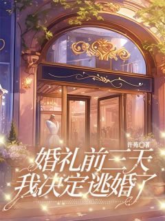 婚礼前三天,我决定逃婚了