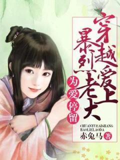 为爱停留:穿越爱上暴烈老大