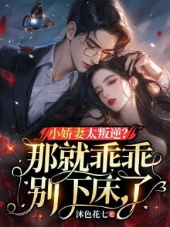 小娇妻太叛逆？那就乖乖别下床了！许晚晴封凌夜小说全文阅读