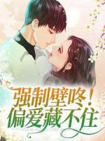 强制壁咚!偏爱藏不住
