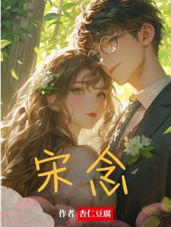 《宋念》小说章节列表在线试读 宋悦宋念小说阅读