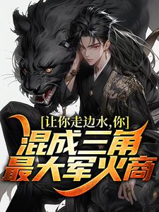 让你走边水,你混成三角最大军火商