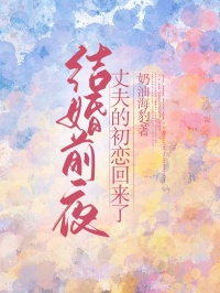 结婚前夜，丈夫的初恋回来了by奶油海豹 付宛项靳池圆圆免费完整版