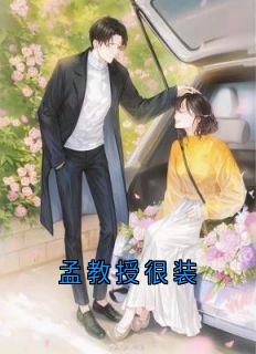 孟教授很装孟观鹤唐安意目录_孟教授很装阅读