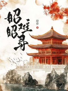 《昭昭难寻》完结版精彩试读 《昭昭难寻》最新章节列表