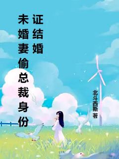 未婚妻偷总裁身份证结婚谭亚陈锐岳明目录 未婚妻偷总裁身份证结婚小说阅读