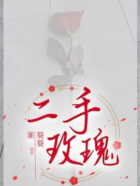 精品《二手玫瑰》小说免费试读 陆翊然夏舒小说全集无删减全文