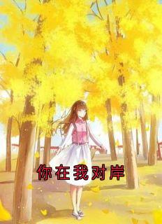《你在我对岸》小说大结局精彩试读 夏添季斯琰小说阅读