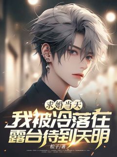 程放聂嘉雪小说 《求婚当天,我被冷落在露台待到天明》小说全文在线试读