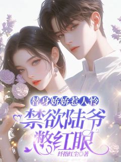 《替身娇娇惹人怜,禁欲陆爷憋红眼》小说章节免费试读 顾晚宁陆衍小说全文