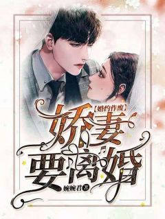 婚约作废，娇妻要离婚苏牧婉陆景年小说全文章节目录免费试读