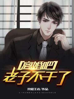 离婚吧,老子不干了