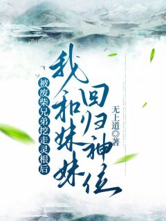 被废柴兄弟挖走灵根后,我和妹妹回归神位