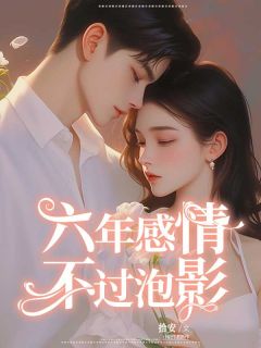 六年感情,不过泡影