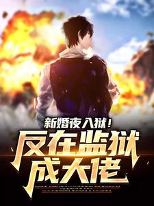 新婚夜入狱!反在监狱成大佬全文免费阅读 秦风林婉儿小说最新章节完整版