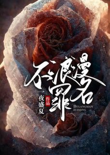 《不浪漫罪名》小说全文精彩试读 《不浪漫罪名》最新章节列表