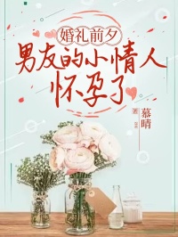 《婚礼前夕，男友的小情人怀孕了》小说免费阅读 南栀顾北尘小说大结局在线阅读