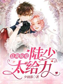 总裁掠爱:陆少,太给力