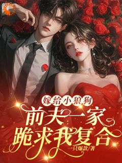 《嫁给小狼狗：前夫一家跪求我复合》小说完结版精彩试读 苏回心楼庭乾小说全文