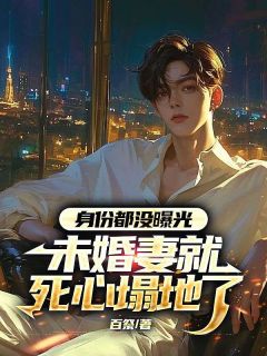 身份都没曝光，未婚妻就死心塌地了陈宁沈慕青精彩章节在线阅读