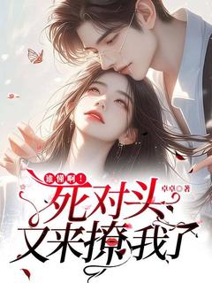 《谁懂呀，死对头又来撩我了》蓝隐林楠完结版精彩试读