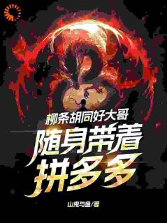 柳条胡同好大哥,随身带着拼多多