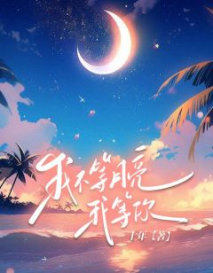 《我不等月亮，我等你》小说全文精彩试读 《我不等月亮，我等你》最新章节目录