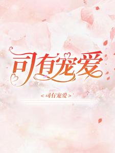 《司有宠爱》小说全集免费在线阅读（沈南初司云泽）