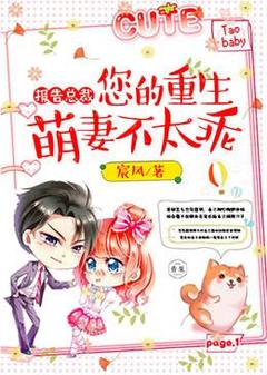 报告总裁:您的重生萌妻不太乖