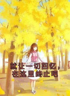 就让一切回忆，在这里终止吧宋昭禾陆琮聿免费阅读 就让一切回忆，在这里终止吧宋昭禾