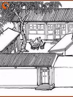 四合院之何雨柱是我兄弟最新章节免费阅读（完整版未删节）