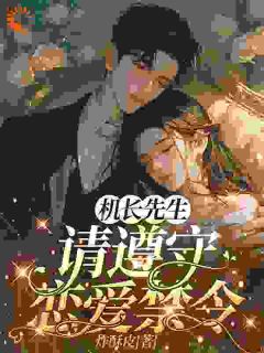 机长先生,请遵守恋爱禁令