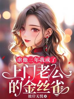 虐他三年,我成了上门老公的金丝雀