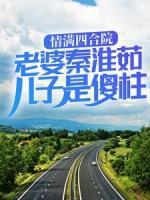 情满四合院:老婆秦淮茹,儿子是傻柱