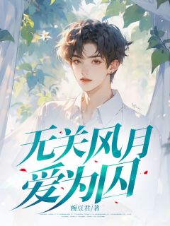 《无关风月爱为囚》小说章节目录精彩试读 江婉楚照林小说全文