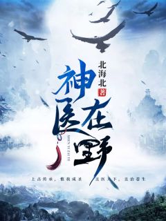 神医在野小说 孙一叶刘红小说叫什么