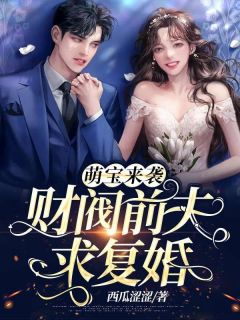 萌宝来袭:财阀前夫求复婚