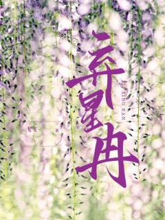 《弃星冉》林星冉周子琅完结版免费阅读