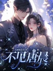 不见唐晨章节 不见唐晨小说目录阅读