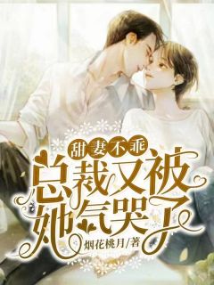 《甜妻不乖:总裁又被她气哭了》小说大结局在线阅读 苏时初殷以墨小说全文