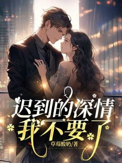 迟到的深情,我不要了小说全文在线阅读 陆妍霍庭深全文完整版章节