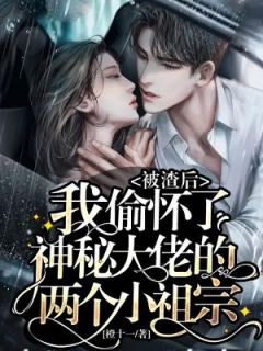 被渣后,我偷怀了神秘大佬的两个小祖宗