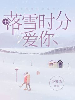 精品《于落雪时分爱你》小说免费试读 柚宁陆浔夏芷柔小说全集无删减全文