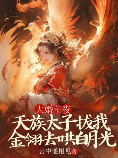大婚前夜,天族太子拔我金翎去哄白月光