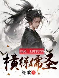 综武:上阴学宫的横练儒圣