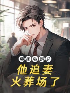 舒书沈舟燃by妍妍 离婚后霸总他追妻火葬场了章节目录